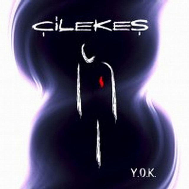 Çilekeş - Y.O.K. albüm kapağı