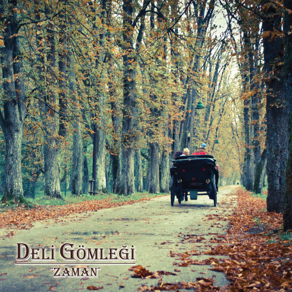 Deli Gömleği · Zaman albüm kapağı (2013)